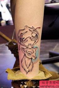 Tattoo show, recommend a leg antelope tattoo