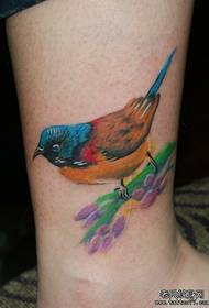 un motivo a tatuaggio colorato con gazza di uccello sulla gamba