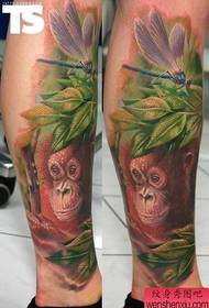 Një punë tatuazhesh me majmun tatuazh në maje
