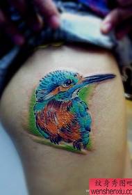 Gyönyörű színes madár tetoválás minta a lányok lába