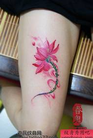 сұлулық аяқтары әдемі түсті лотос татуировкасы үлгісі