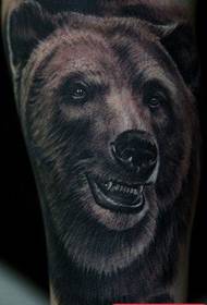 tato grizzly