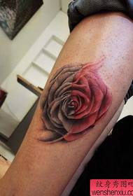 cames de tatuatge de rosa bella