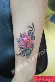atsikana miyendo European ndi American style rose tattoo