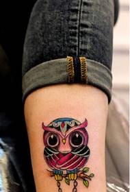 pied super mignon super élégant tatouage hibou image photo