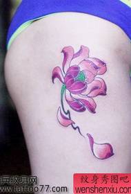 gražus seksualus kojų lotoso tatuiruotės modelis