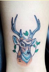 bella immagine alla caviglia colorata di bell'aspetto modello di tatuaggio antilope