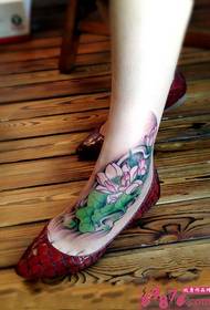 the beautiful summer lotus flower picture on the instep