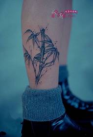 小さな新鮮な竹の足首のタトゥー画像