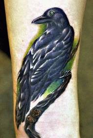 ຮູບແບບ tattoo ຕີນຕີນເພື່ອຄວາມມ່ວນຊື່ນກັບຮູບ