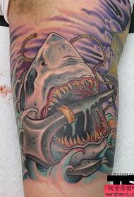 stopa Twórcza praca z tatuażem rekina