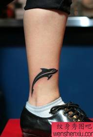 modeli i tatuazheve të balena totemit të viçave
