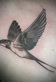 tatuointi rinta uros pojat rinta musta lintu tatuointi kuva