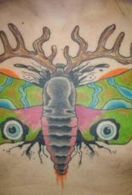 sefuba Colour butterfly e metle ka li-antlers le mokhoa oa tattoo ea mahlo