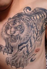 mannelijke woeste tijger tattoo foto 51378 - witte duif tattoo op mannelijke borst