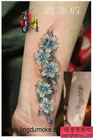 tattoo professio Exemplum: Speculum Book Tarso Sakura tattoo