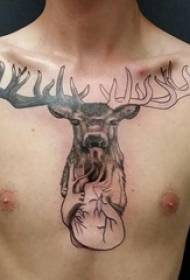 pola tato elk lalaki lalaki jantung dada sareng elk tattoo gambar