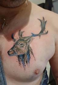 tatoeëring op bors manlike seuns bors gekleurde eland tatoeëermerk