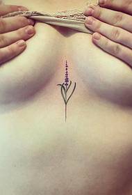 modello di tatuaggio piccolo petto lavanda fresca ragazza petto