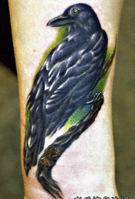 foot crow tattoo pattern