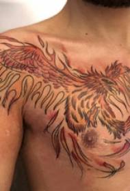 Eagle tattoo mannelijke borst kleur eagle tattoo foto