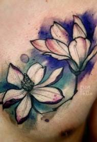 Tatuaggio petto maschio ragazzo petto colorato magnolia tatuaggio immagine