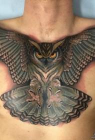chifuwa European ndi American owl sukulu tattoo