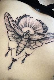 Evropa in prsni koš seksi moljc tatujev vzorec tatoo