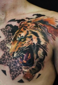 třicet dominantní tygr hlava tetování vzor