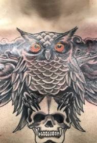 Tato burung hantu berbentuk tatu dada burung hantu lelaki