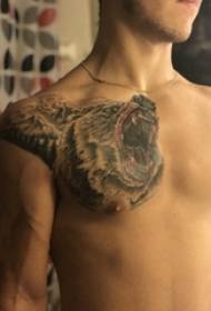 ayı dövme erkek göğüs göğüs dövme resmi
