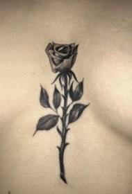 tatuaggio rosa ragazza sotto il petto foto tatuaggio rosa nera