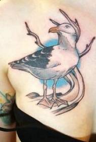 纹身海鸥 女生胸部彩色的海鸥纹身图片