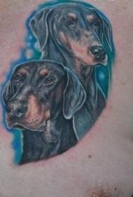 pwatrin doberman ak modèl ble tatouto background