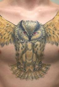 Immagini di tatuaggi di gufo dipinti a petto maschio ragazzi petto