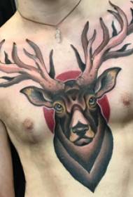 タトゥーチェスト男性男の子胸色鹿のタトゥーの写真