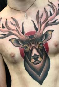 tatuaggi petto maschio maschi petto colorato cervo tatuaggio immagini