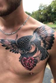 tatuaje peito peito boys diamantes e búho tatuaje Fotografías 50804 - tatuaje peito peito macho flores flores e imaxes de tatuaxe de paisaxe