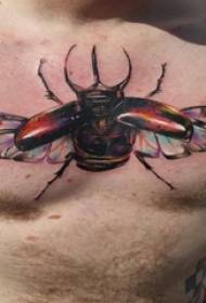 男孩的胸部繪畫逐漸簡單的線條改變了逼真的昆蟲紋身圖片