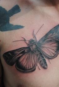 modello di tatuaggio farfalla grande petto stile grigio nero