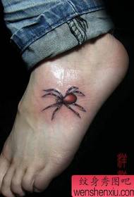 pye koulè bote modèl tatoo Spider