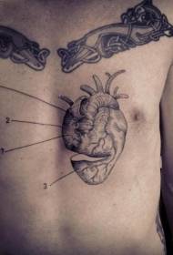 Patrón de tatuaje de corazón realista de pecho