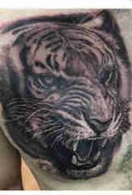 Tiger Totem Tattoo Boy Chest Tiger Head Tattoo ስርዓተ-ጥለት