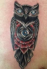 Tattoo Owl mukomana Chest Owl Totem Mifananidzo yeTatoo