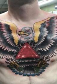 彩色的鷹紋身男孩胸部三角和鷹紋身圖片