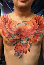 Tattoo Phoenix արական տղա կրծքավանդակի գունավոր Phoenix դաջվածքի նկար