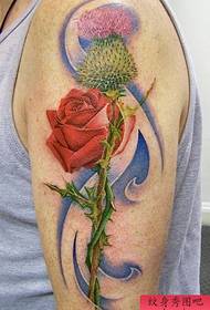 Brazo Rosa Roja Tatuaje Patrón Imagen