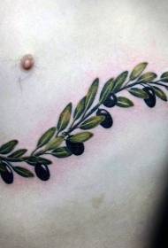 disegno del tatuaggio ramo di ulivo naturale verde petto