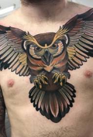 Immagini di tatuaggi di gufo petto ragazzi gufo tatuaggio