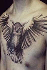 Tattoo Owl Chest Tattoo